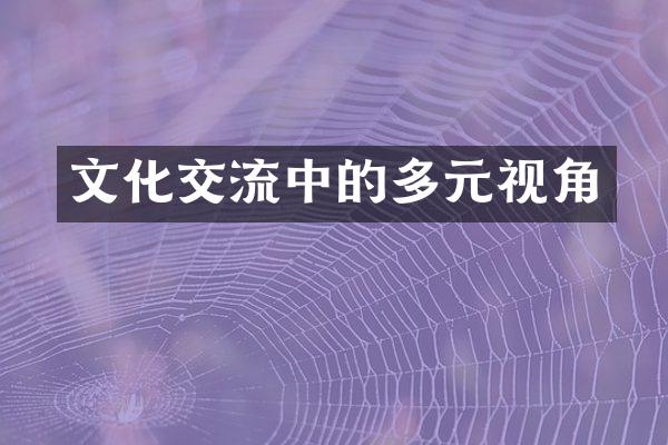 文化交流中的多元视角