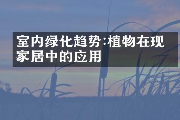 室内绿化趋势:植物在现代家居中的应用