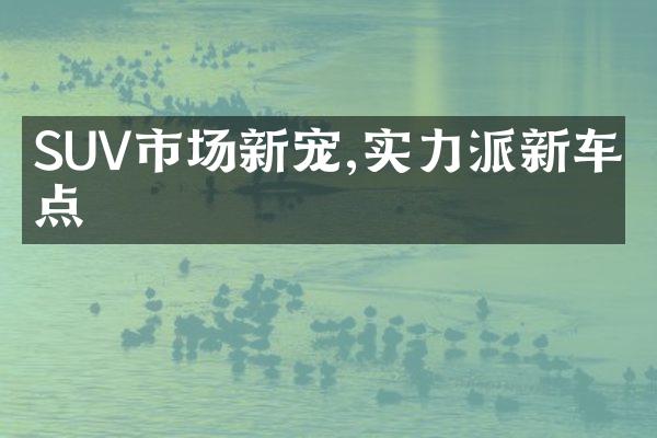 SUV市场新宠,实力派新车盘点