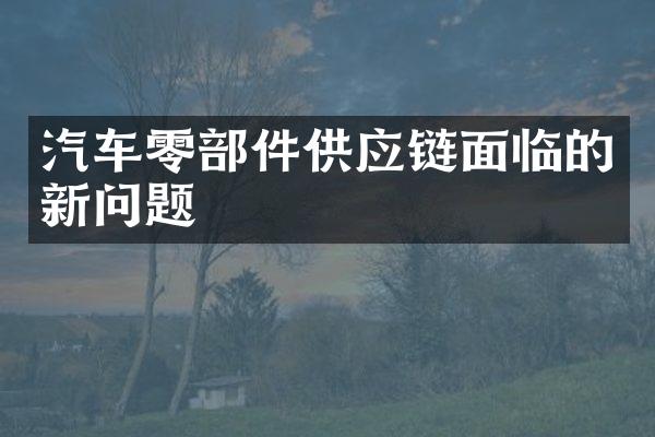 汽车零部件供应链面临的新问题