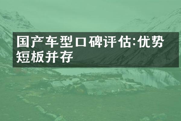 国产车型口碑评估:优势与短板并存