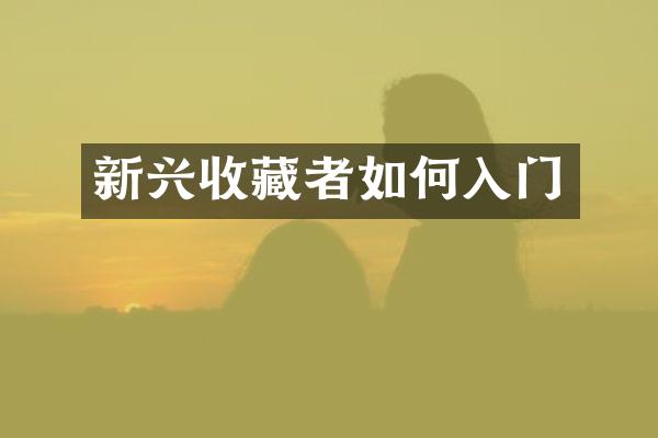 新兴收藏者如何入门