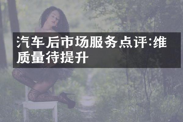 汽车后市场服务点评:维修质量待提升