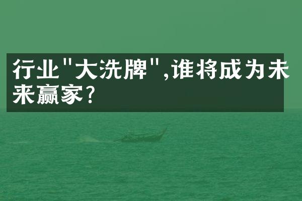 行业"大洗牌",谁将成为未来赢家?