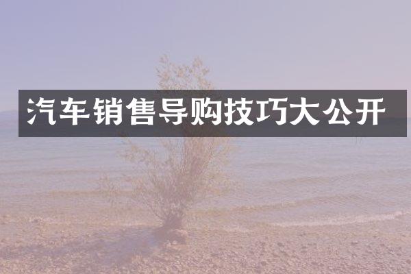 汽车销售导购技巧公开