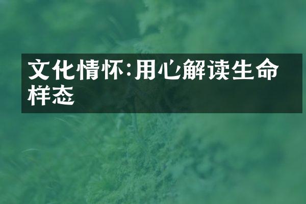 文化情怀:用心解读生命的样态