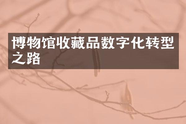 博物馆收藏品数字化转型之路