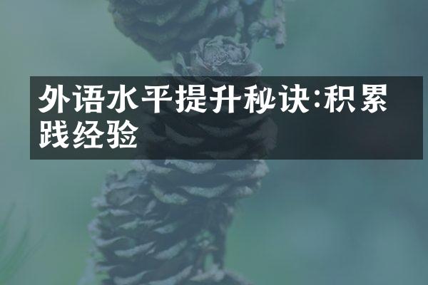 外语水平提升秘诀:积累实践经验