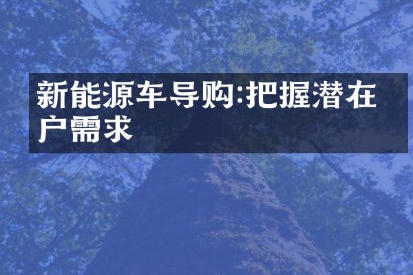 新能源车导购:把握潜在客户需求