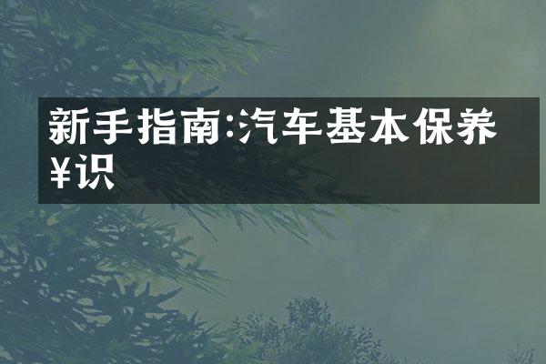 新手指南:汽车基本保养知识