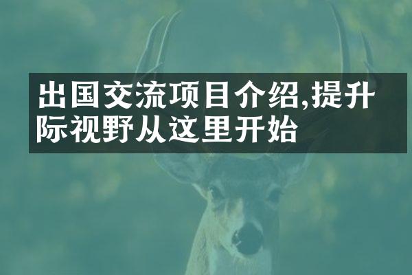 出国交流项目介绍,提升国际视野从这里开始