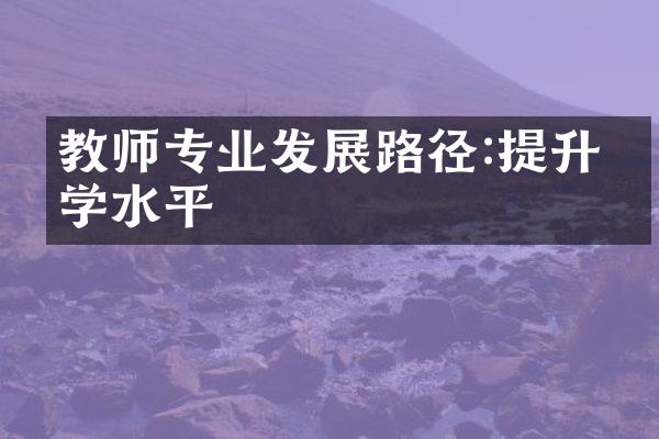 教师专业发展路径:提升教学水平