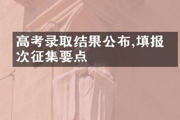 高考录取结果公布,填报二次征集要点