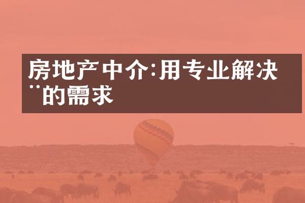 房地产中介:用专业解决您的需求