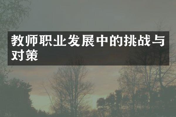 教师职业发展中的挑战与对策