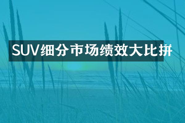 SUV细分市场绩效大比拼