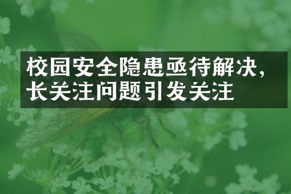 校园安全隐患亟待解决,家长关注问题引发关注