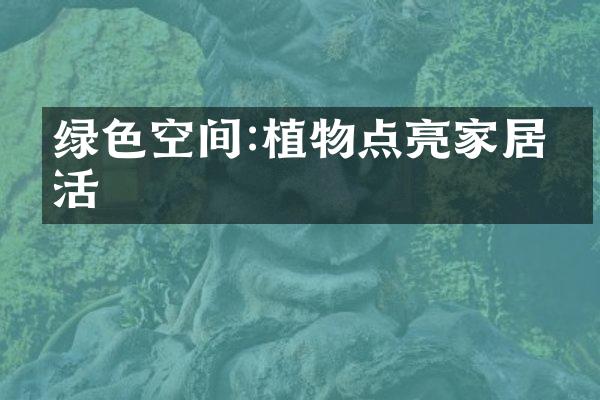 绿色空间:植物点亮家居生活