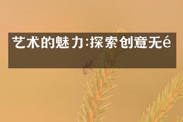 艺术的魅力:探索创意无限