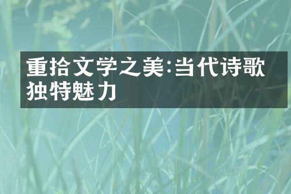 重拾文学之美:当代诗歌的独特魅力