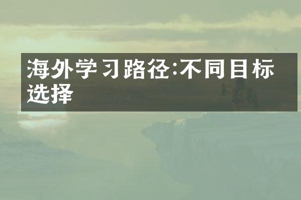 海外学习路径:不同目标的选择