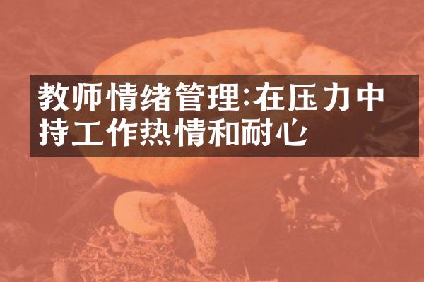 教师情绪管理:在压力中保持工作热情和耐心