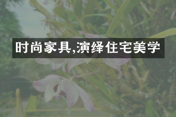 时尚家具,演绎住宅美学