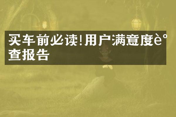 买车前必读!用户满意度调查报告