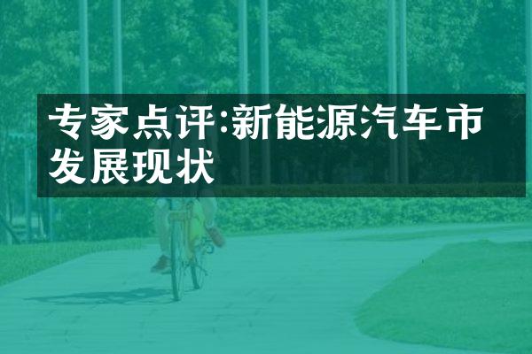 专家点评:新能源汽车市场发展现状