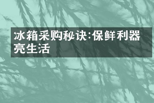 冰箱采购秘诀:保鲜利器点亮生活