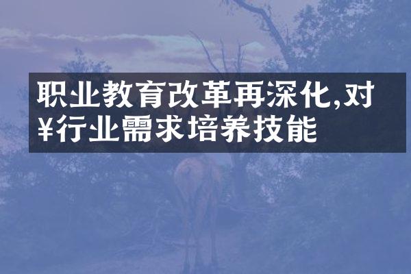 职业教育再深化,对接行业需求培养技能