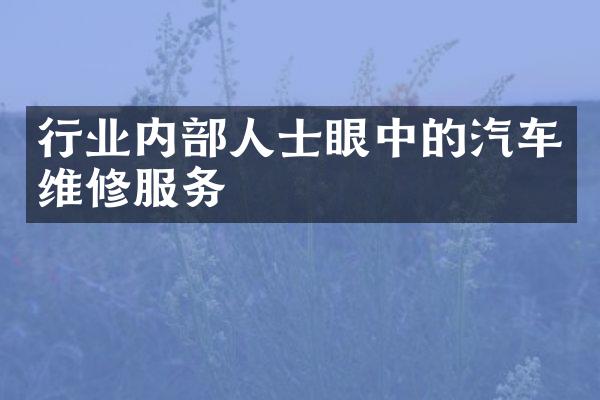 行业内部人士眼中的汽车维修服务