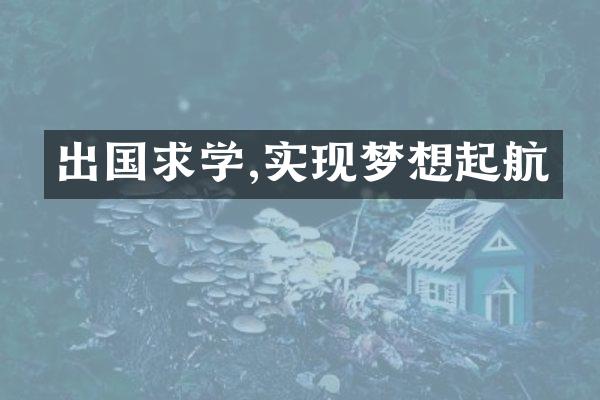 出国求学,实现梦想起航