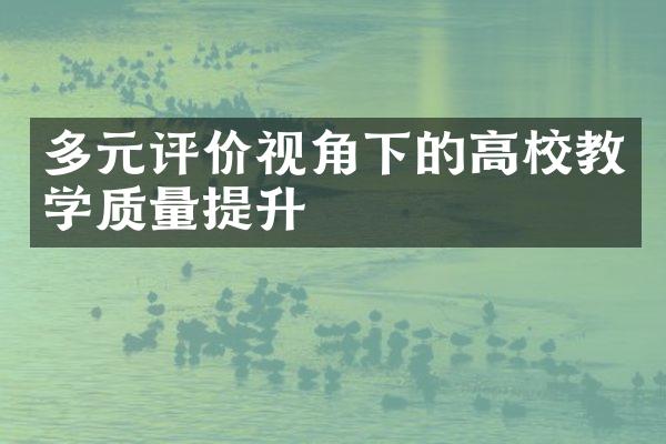 多元评价视角下的高校教学质量提升