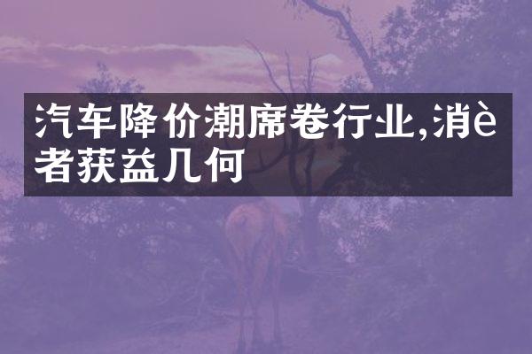 汽车降价潮席卷行业,消费者获益几何