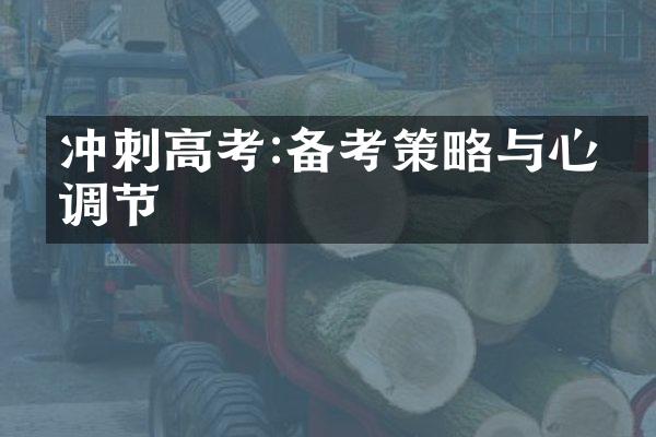 冲刺高考:备考策略与心理调节