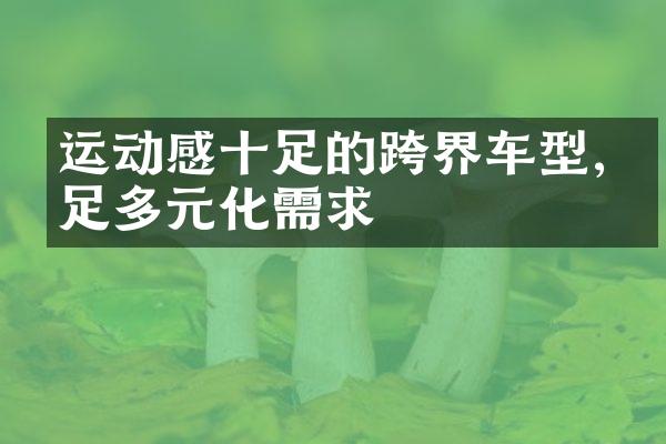 运动感十足的跨界车型,满足多元化需求