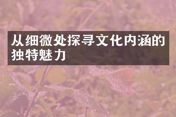 从细微处探寻文化内涵的独特魅力