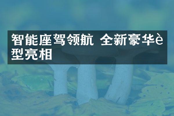 智能座驾领航 全新豪华车型亮相