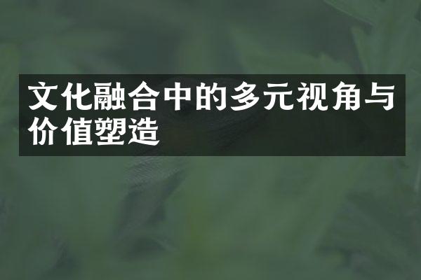 文化融合中的多元视角与价值塑造