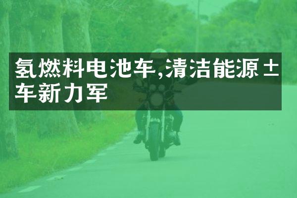 氢燃料电池车,清洁能源汽车新力军