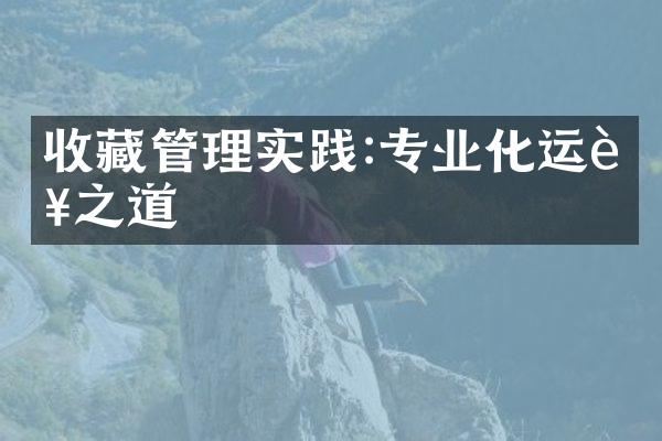 收藏管理实践:专业化运营之道