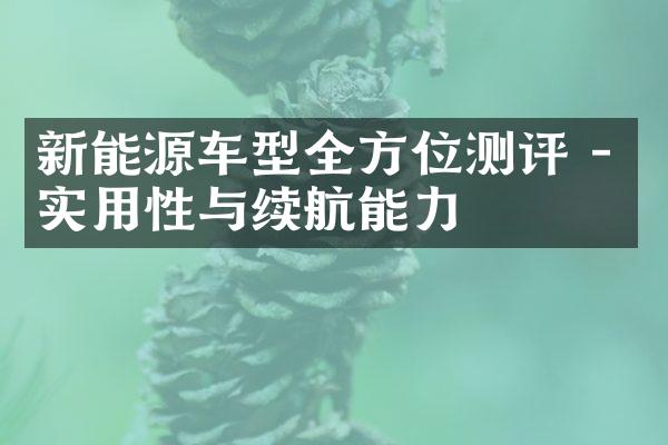 新能源车型全方位测评 - 实用性与续航能力