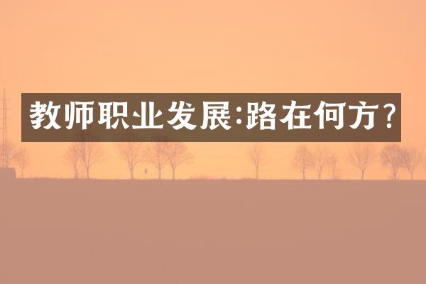 教师职业发展:路在何方?