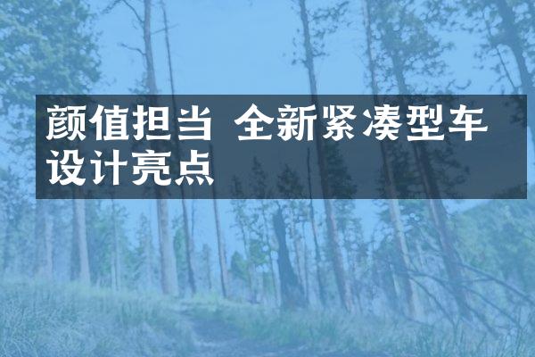 颜值担当 全新紧凑型车型设计亮点