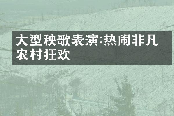 型秧歌表演:热闹非凡的农村狂欢