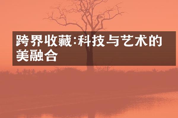 跨界收藏:科技与艺术的完美融合