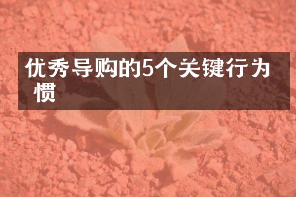 优秀导购的5个关键行为习惯