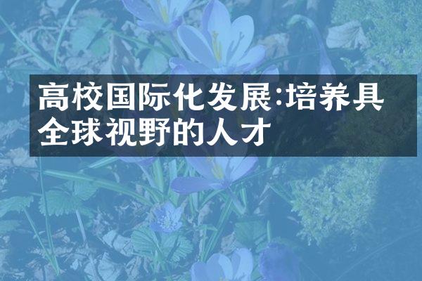 高校国际化发展:培养具有全球视野的人才