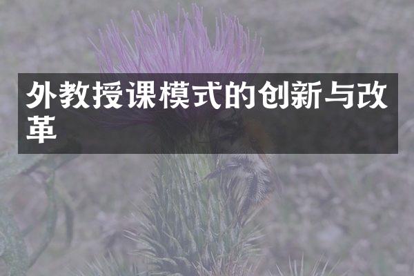 外教授课模式的创新与改革